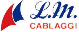 logo image